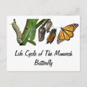 MONARLEBENSZYKLUS POSTKARTE (Vorderseite)