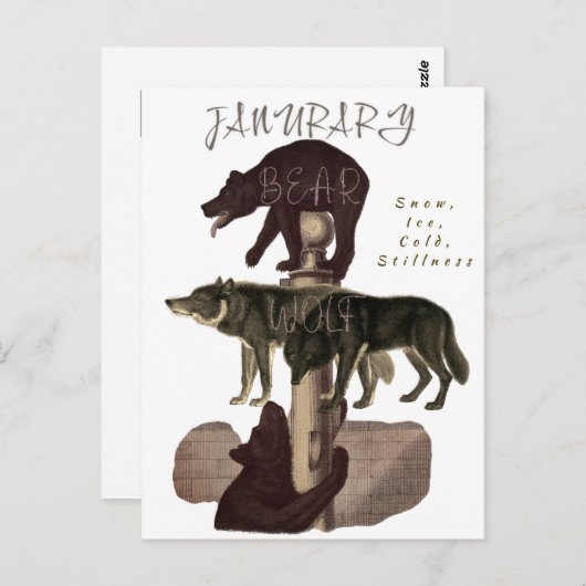 Monat Januar Tiere und Elemente Postkarte (Vorne/Hinten)