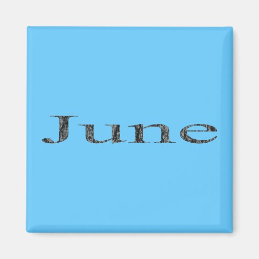 Monate des Jahres - Juni Magnet (Vorne)