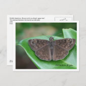 Monatliche Absichten Postkarte (Vorne/Hinten)