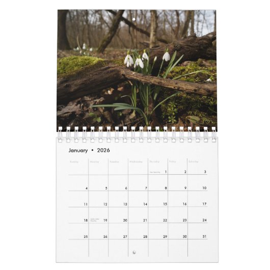 Monatliche Blume Kalender (Jan 2026)