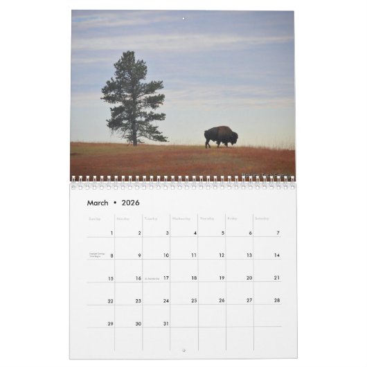Monatlicher Bison-Kalender - Ausgabe der Nationalp Kalender (Mär 2026)