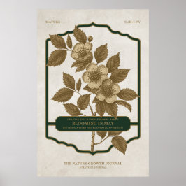 MONATLICHES BLUMEN - MAI GEBURTSGIFT BLUME POSTER 