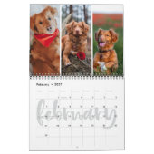 Monatsfoto-Collage zur Lebenskalligraphie Kalender (Feb 2027)