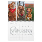 Monatsfoto-Collage zur Lebenskalligraphie Kalender (Feb 2026)