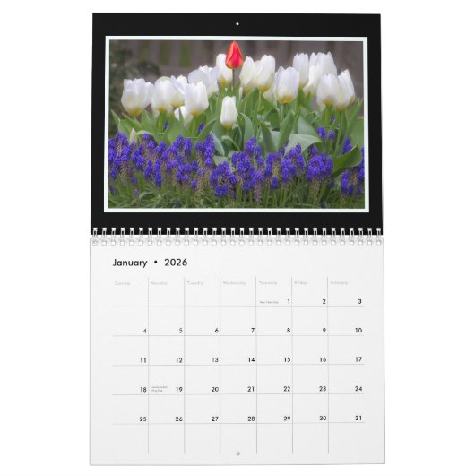 Monatskalender der Blumen-2019 durch Tom Minutolo Kalender (Jan 2026)