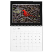 Monatskalender der Kardinals-2017 durch Thomas Kalender (Mär 2027)