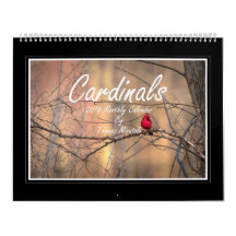 Monatskalender der Kardinals-2018 durch Thomas