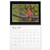 Monatskalender der Kardinals-2018 durch Thomas Kalender (Feb 2027)