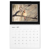 Monatskalender der Kardinals-2018 durch Thomas Kalender (Mär 2027)