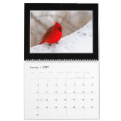 Monatskalender der Kardinals-2018 durch Thomas Kalender (Jan 2027)