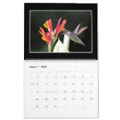 Monatskalender der Kolibri-2018 durch Tom Minutolo Kalender (Mär 2026)