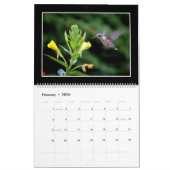 Monatskalender der Kolibri-2018 durch Tom Minutolo Kalender (Feb 2026)