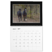 Monatskalender der Pferd2018 durch Tom Minutolo Kalender (Mär 2027)