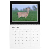 Monatskalender der Rotwild-2018 durch Thomas Kalender (Mär 2026)