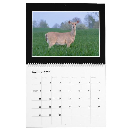 Monatskalender der Rotwild-2018 durch Thomas Kalender (Mär 2026)