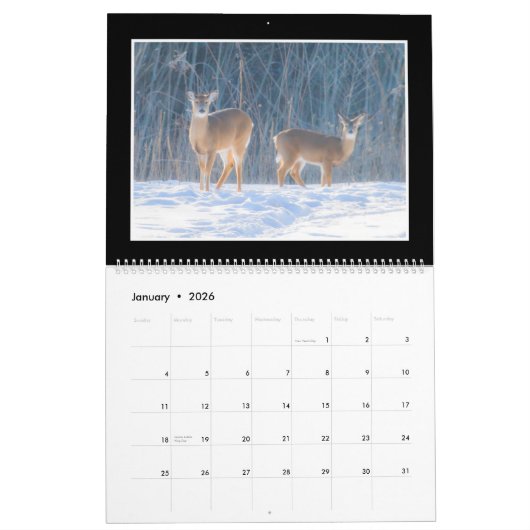 Monatskalender der Rotwild-2018 durch Thomas Kalender (Jan 2026)