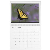 Monatskalender der Schmetterlings-2016 durch Tom Kalender (Feb 2027)