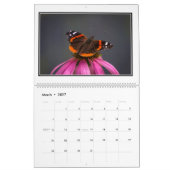 Monatskalender der Schmetterlings-2016 durch Tom Kalender (Mär 2027)