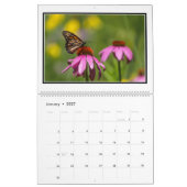 Monatskalender der Schmetterlings-2016 durch Tom Kalender (Jan 2027)