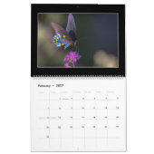 Monatskalender der Schmetterlings-2018 durch Tom Kalender (Feb 2027)