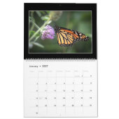 Monatskalender der Schmetterlings-2018 durch Tom Kalender (Jan 2027)