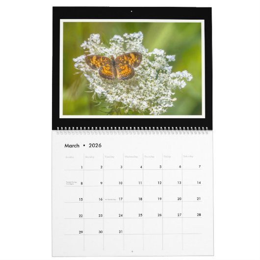 Monatskalender der Schmetterlings-2019 durch Tom Kalender (Mär 2026)