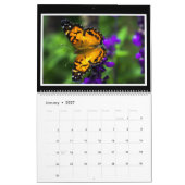 Monatskalender der Schmetterlings-2019 durch Tom Kalender (Jan 2027)