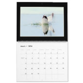 Monatskalender der Vogel-2019 durch Thomas Kalender (Mär 2026)