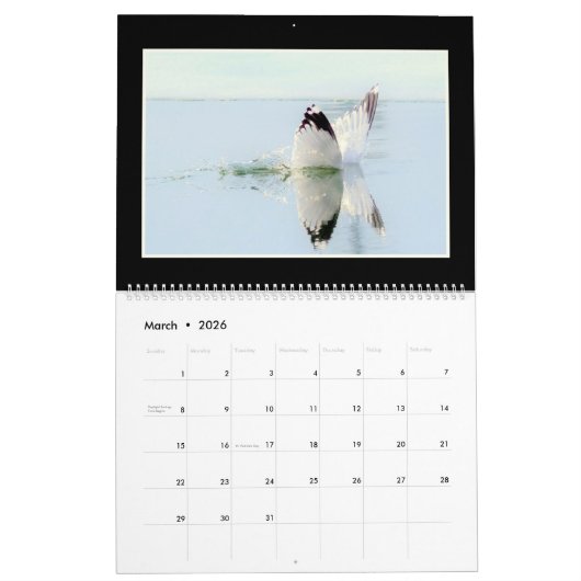 Monatskalender der Vogel-2019 durch Thomas Kalender (Mär 2026)