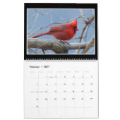 Monatskalender der Vogel-2019 durch Thomas Kalender (Feb 2027)