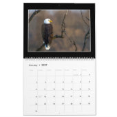 Monatskalender der Vogel-2019 durch Thomas Kalender (Jan 2027)