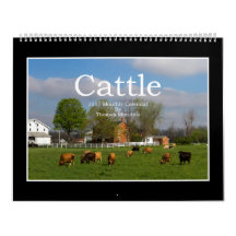 Monatskalender des Vieh-2017 durch Thomas Minutolo