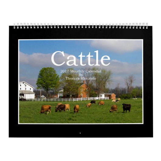 Monatskalender des Vieh-2017 durch Thomas Minutolo Kalender (Titelbild)