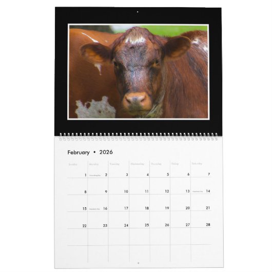 Monatskalender des Vieh-2018 durch Thomas Minutolo Kalender (Feb 2026)