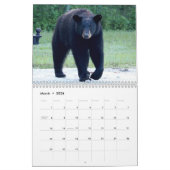 Monatskalender für den Schwarzen Bären von Florida Kalender (Mär 2026)