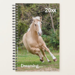 Monatsplaner Palomino Horse Planer