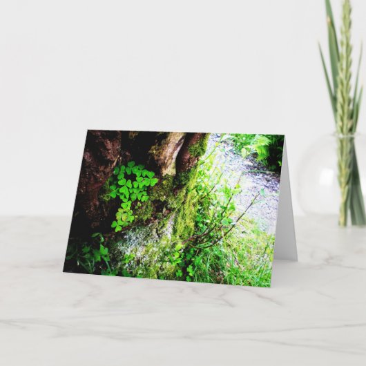 Mönch-Kleeblätter Karte (Vorderseite)