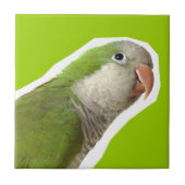 MönchParakeet Fliese (Vorderseite)