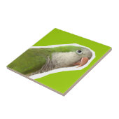 MönchParakeet Fliese (Seite)