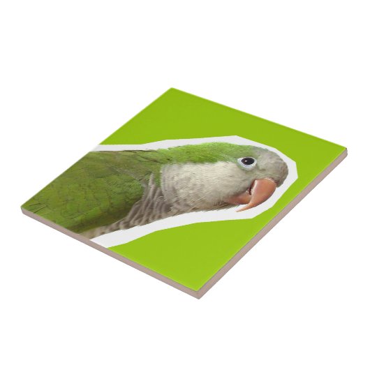 MönchParakeet Fliese (Seite)