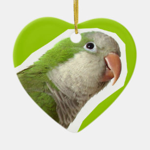 MönchParakeet Keramikornament