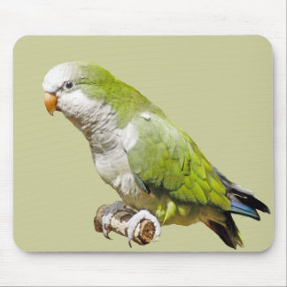 MönchParakeet Mousepad