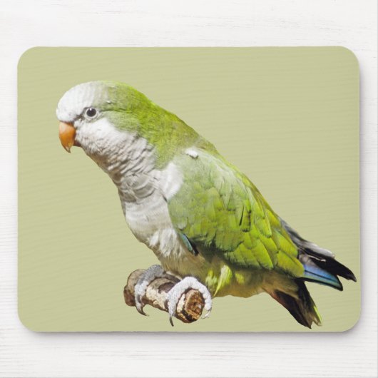 MönchParakeet Mousepad (Vorne)
