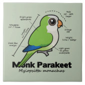Mönchparakeet-Statistiken Fliese (Vorderseite)