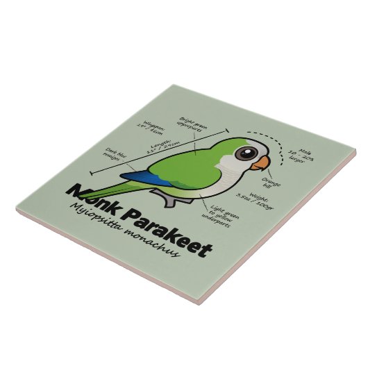 Mönchparakeet-Statistiken Fliese (Seite)