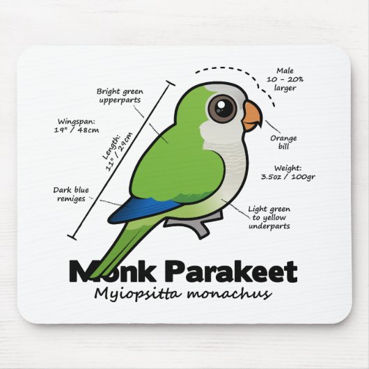 Mönchparakeet-Statistiken Mousepad (Vorne)