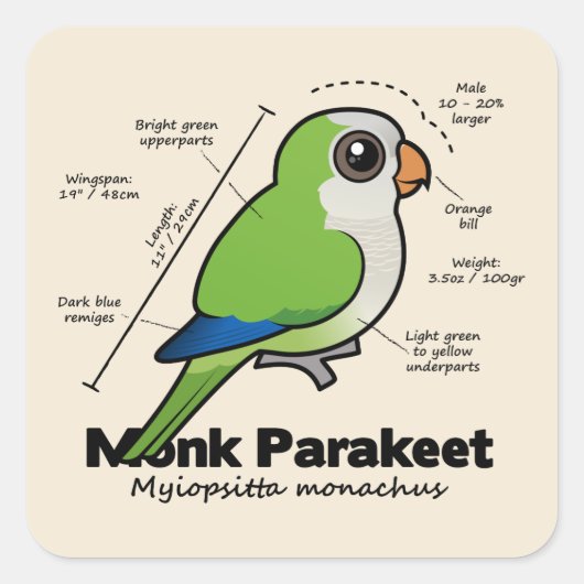 Mönchparakeet-Statistiken Quadratischer Aufkleber (Vorderseite)