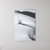Monchrome Wüstenlandschaft mit Grasflößen Leinwanddruck (Vorderseite)