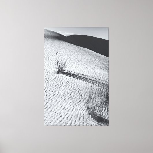 Monchrome Wüstenlandschaft mit Grasflößen Leinwanddruck (Vorderseite)